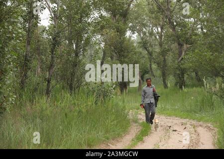 (191009) - FUXIN, Oktober 9, 2019 (Xinhua) - Hou Gui-Patrouillen in Wäldern in der Stadt Fuxin Zhangwu County, im Nordosten der chinesischen Provinz Liaoning, 17. Juli 2019. Hou Gui, 68, ist ein Dorfbewohner in Liujia Dorf Zhangwu Sihecheng Stadt im County. Wohnen am südlichen Rand des Horqin sandiges Land, Hou hat mehr als 200.000 Bäume auf 2.400 Me (160 Hektar) von Sandy Land in den letzten 18 Jahren gepflanzt. "Als ich ein Kind war, der Wind wehte den Sand und ich konnte nichts sehen." Hou Gui sagte. Um seine Heimat zu schützen, Hou Gui begann die Aufforstung in 2001. In den letzten Jahren, mit der Stärkung der Stockfoto