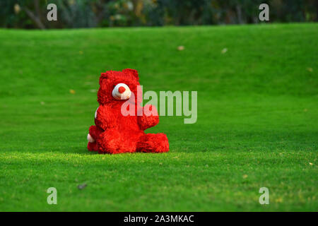 Roter Teddybär auf Gras sitzend Stockfoto