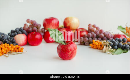 Äpfel, Beeren, Trauben, die auf einer hölzernen weißen Hintergrund. Herbst Ernte von Früchten. Stockfoto