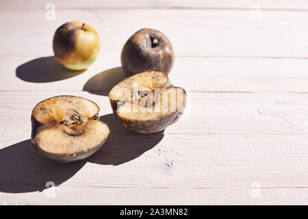 Faule Äpfel liegen auf einem Holz- Oberfläche unter den Strahlen der hellen Sonne. Das Problem der verdorbenes Essen. Stockfoto