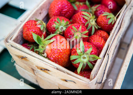 frische Erdbeeren in einem Korb Stockfoto