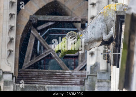 Reims, Frankreich, Kathedrale Notre-Dame de Reims, Wasserspeier Stockfoto
