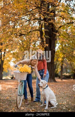 Zwei junge weibliche Freunde zu Fuß in den gelben Herbst park mit Hund und Fahrrad Stockfoto
