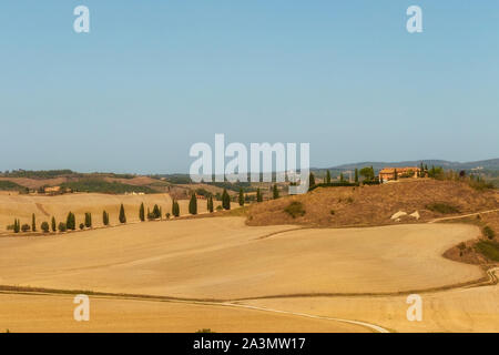 Typische Landschaften für die Provinz Siena in der Toskana, Italien. Cypress Hills, gepflügten Feldern, Straßen und Häuser. Beginn der Herbstsaison. Stockfoto