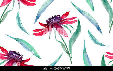 Echinacea rosa Blüten und Blätter, Handgemalten Aquarell Illustration, nahtlose Muster auf weißem Hintergrund Stockfoto