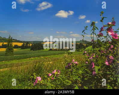 Die weald und Downland Living Museum, West Sussex, England, Großbritannien Stockfoto