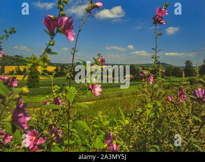 Die weald und Downland Living Museum, West Sussex, England, Großbritannien Stockfoto