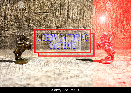 Text Zeichen zeigen Video Monitoring Systeme. Business foto Präsentation Überwachung übertragen Bild aufnehmen auf Digitale Verbindung zwei Bronze schachfiguren Knig Stockfoto