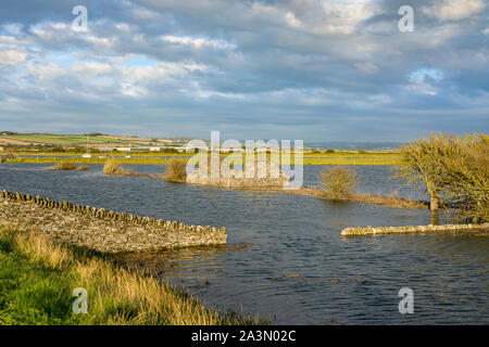 Überflutet Horsey Insel aus Brannenburg Marsh, Braunton, Devon, England. Stockfoto