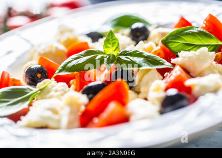 Caprese Salat mit Mozzarella Käse frische Tomaten Oliven und Basilikum. Italienischen oder mediterranen gesunde Mahlzeit Stockfoto