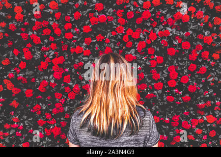 Frau unter rote Rosen Hintergrund Stockfoto