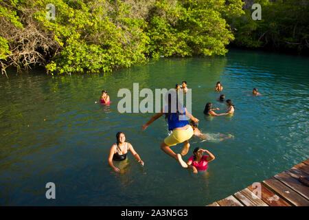 Laguna de Las Ninfas, Puerto Ayora, Isla Santa Cruz, Islas Galapagos, Ecuador Stockfoto