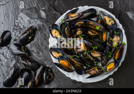 Frische rohe und gekochte Miesmuscheln auf schwarzem Schiefer Hintergrund. Meeresfrüchte Konzept. Ansicht von oben Stockfoto