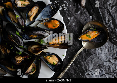 Gedämpfte Muscheln mit Petersilie auf dunklem Hintergrund. Mediterrane Küche Konzept. Ansicht von oben, flach Stockfoto