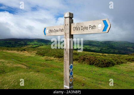 Offas Dyke langen Fußweg auf Hergest Ridge, Herefordshire/Powys, Großbritannien Stockfoto