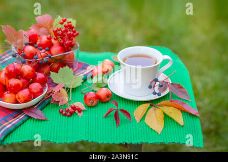 Eine weiße Tasse heißen Tee mit Äpfeln Paradies in der Morgen im Garten, mit einem natürlichen Hintergrund verschwommen. Guten Morgen. Stockfoto