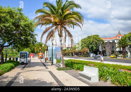 Funchal, Madeira, Portugal - Sep 10, 2019: Schöne Promenade in der Hauptstadt Madeiras, der portugiesischen Stadt. Gepflasterten Gehweg, grüne Vegetation, Palmen und Menschen auf der Straße. Sonnigen Tag. Das tägliche Leben. Stockfoto