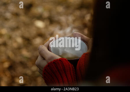 Schöne Mädchen in Pullover holding Tasse Tee in den Händen während der Sitzung in den Wald. Herbst vibes, Moody herbst Bild mit Kopie Raum Stockfoto