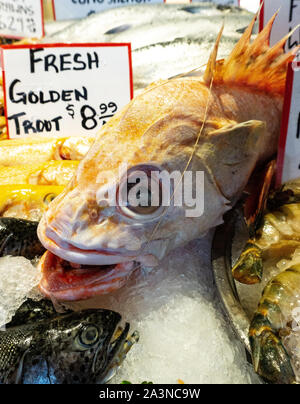 Grinsender Fisch auf dem Pikes Place Market in Seattle Stockfoto