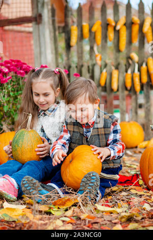 Kleine Mädchen und Jungen Kommissionierung Kürbisse für Halloween Pumpkin Patch. Kinder abholen reife Gemüse auf dem Bauernhof während der Ferienzeit. Herbst Ernte Stockfoto