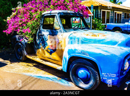 Alte Lkw als Blumentopf, Hanapepe, Kauai, Hawaii Stockfoto