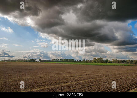 Dramatische Wolken über einem Abgeernteten Feld. Panoramablick. Stockfoto