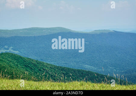 Sicht auf die Berge und Täler mit Wäldern bedeckt Stockfoto
