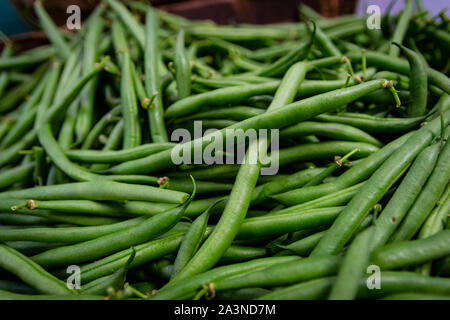 Geernteter Stapel gesunder, frischer grüner Bohnen Stockfoto