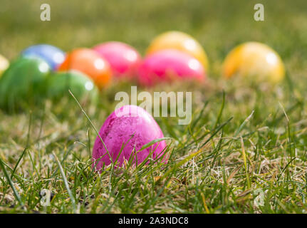 Bunte eier in die Grüne Wiese Stockfoto