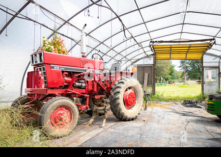 Red International 274 Dieseltraktor im Gewächshaus auf dem Hof geparkt Stockfoto