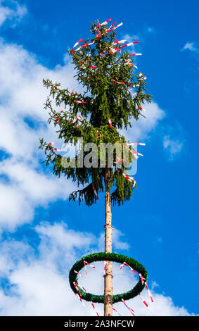 Hintergrundbeleuchtung im Schwarzwald Deutschland Stockfoto