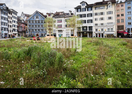 Insel in der Stadt Wiese, die der Künstler Heinrich Gartentor auf dem Münsterhof in Zürich, Schweiz Stockfoto