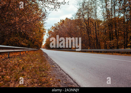 Herbst Straße mit Bäumen. Leere Autobahn mit holzhacker an bewölkten Herbst Tag Stockfoto