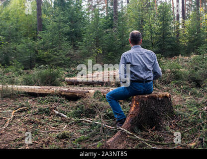 Ansicht von hinten von einem Mann in T-Shirt und Jeans bei gefällten Bäumen sitzen auf Baumstumpf suchen Stockfoto