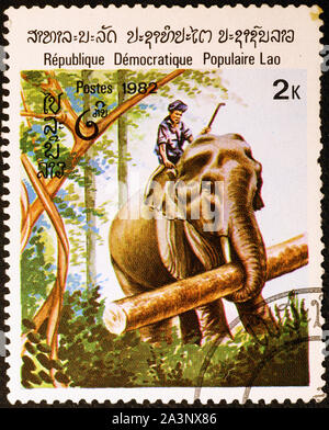 Elefanten, die in den Dschungel auf Briefmarke Laos. Stockfoto