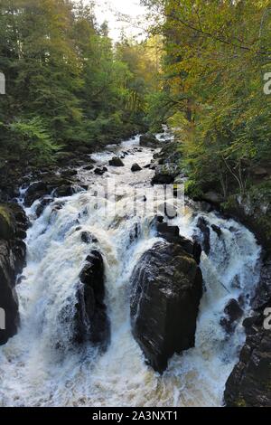 Der spektakuläre schwarze Linn fällt in der Eremitage in Dunkeld, Perth und Kinross, Schottland, Großbritannien, Europa Stockfoto