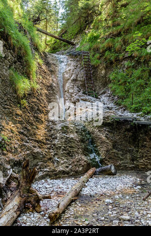 Wasserfall und fast ausgetrocknet im Sommer Bett des Flusses Sucha Bela im Slowakischen Paradies. Slowakei Stockfoto