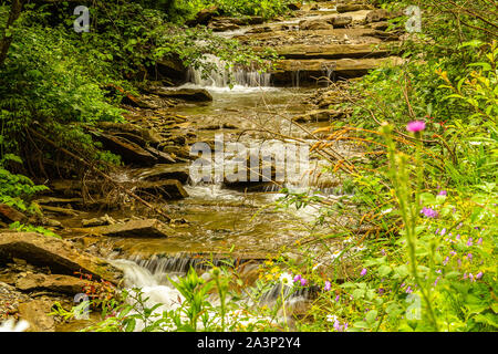 Die Ukraine, die Karpaten. Mountain River, einem Nebenfluss des Schwarzen Pueblo Stockfoto