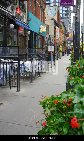 Restaurants oolong King Street West in Toronto City, Downtown in Ontario, Kanada, Nordamerika Stockfoto