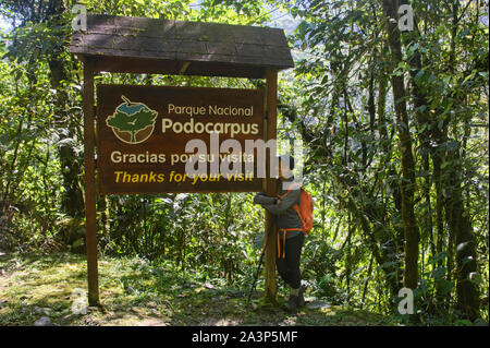 Trekker im Podocarpus Nationalpark, Zamora, Ecuador Stockfoto