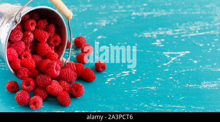 Frische Himbeeren in einem kleinen Eimer aus Metall auf einem türkis-blauen Hintergrund Stockfoto