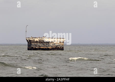 Kormorane auf die Reste des Kreuzes Ledge Licht in Delaware Bay, auf der atlantischen Flyway Migration, USA ruhen Stockfoto