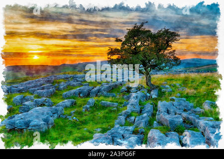 Aquarell Malerei eines knorrigen Hawthorn Tree auf einem Kalkstein Pflaster auf der Windskill Steine in der Nähe von Settle in Yorkshire. Stockfoto