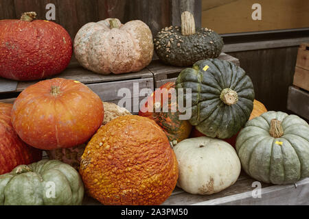 Vielfalt von bunten Kürbisse und Squash auf einem Holztisch zu einem Bauernmarkt im Herbst Ernte in Woodstock, Vermont. Stockfoto