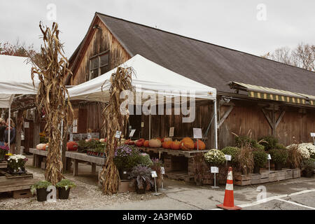 Woodstock, Vermont - 30. September 2019: Winter Squash und Kürbisse zum Verkauf auf der Woodstock Bauernmarkt auf einem kalten Herbst Tag Stockfoto