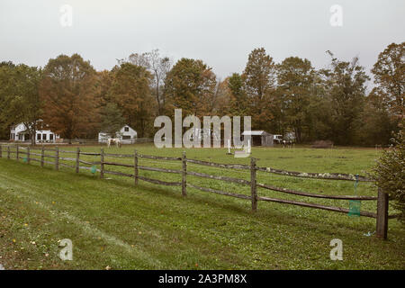 Dorset, Vermont - Oktober 1st, 2019: Pferde auf der grünen Weide an einem kalten, Herbst Tag im Neu-England Stadt Dorset Stockfoto