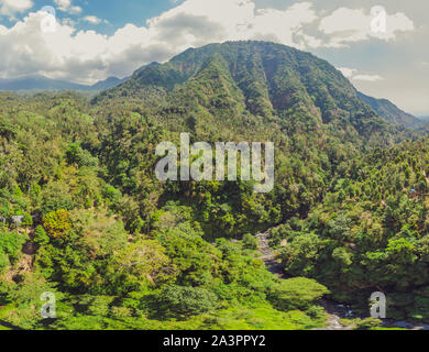 Tropischen Dschungel von Bali. Wald und Berg Stockfoto