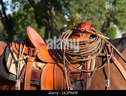 Nahaufnahme auf Sattel auf ein braunes Pferd mit Cowboy Seil lasso eingerollt auf dem Sattel Horn. Grüne Bäume im Hintergrund. Stockfoto