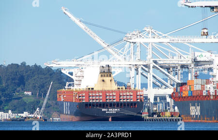 Oakland, CA - 21. Januar 2019: Cargo Schiff MSC BRANKA am Hafen von Oakland, das Fünfte betriebsamsten Hafen in den Vereinigten Staaten laden. Stockfoto