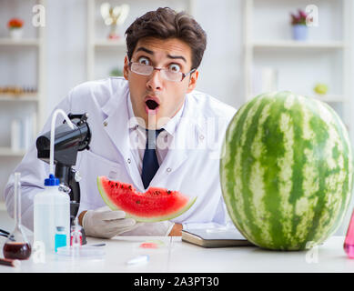 Die Wissenschaftler testen Wassermelone im Labor Stockfoto